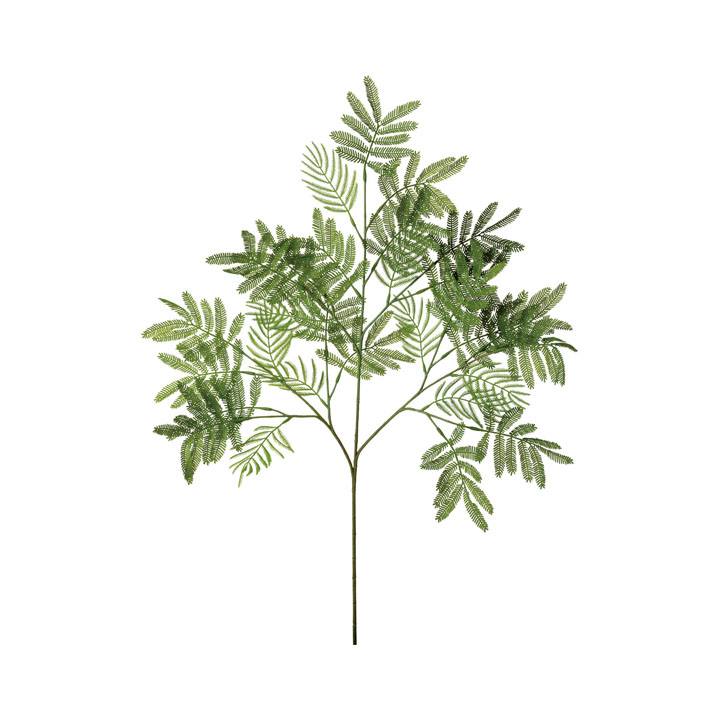 エバーフレッシュスプレー