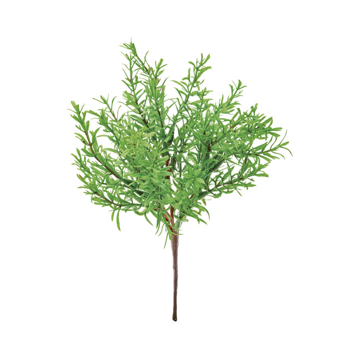 ローズマリーブッシュ