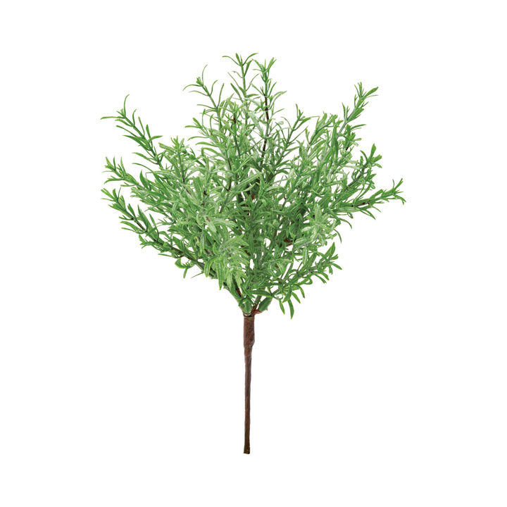 ローズマリーブッシュ