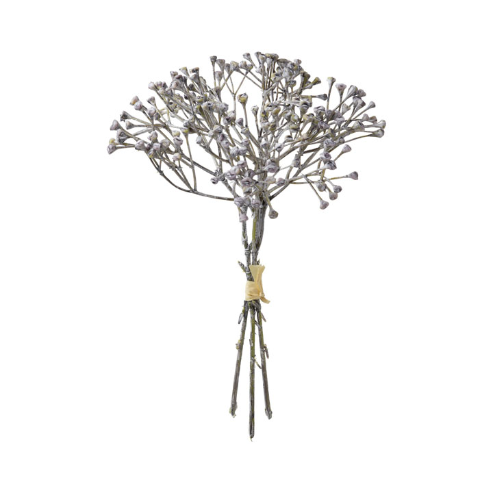 ドライベリーピック