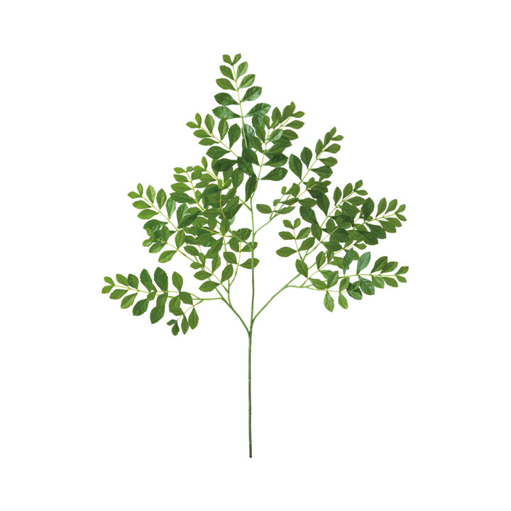 トネリコスプレー