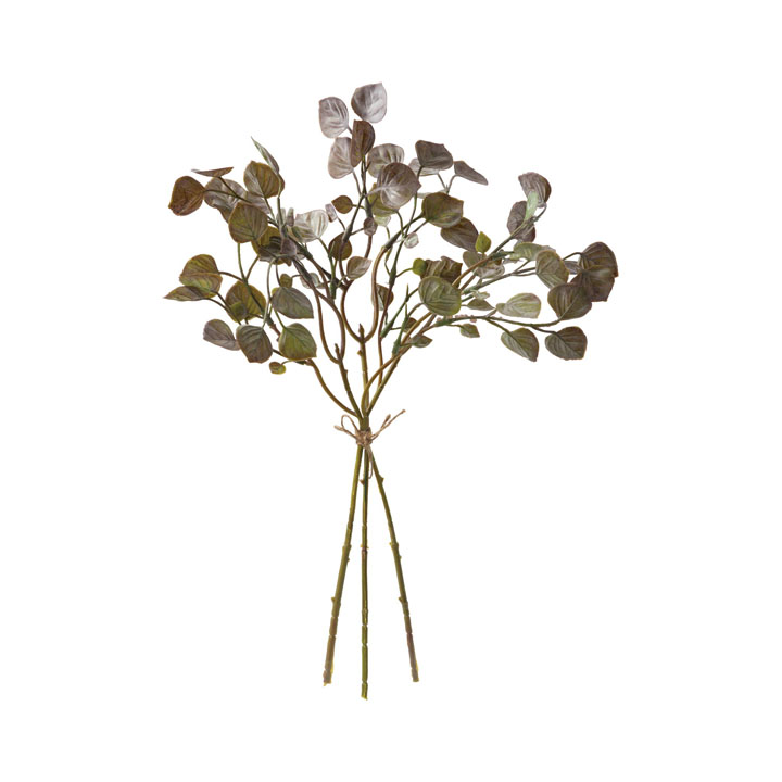 フォリアムリーフバンドル