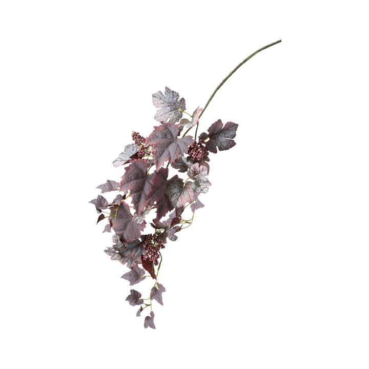 グレープベリーバイン