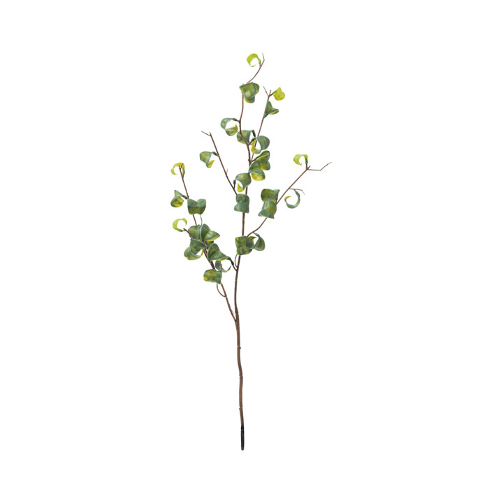 ベンジャミンバロックブランチS