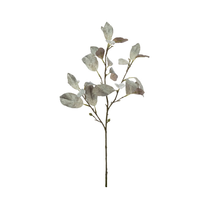 ベルベットリーフスプレー