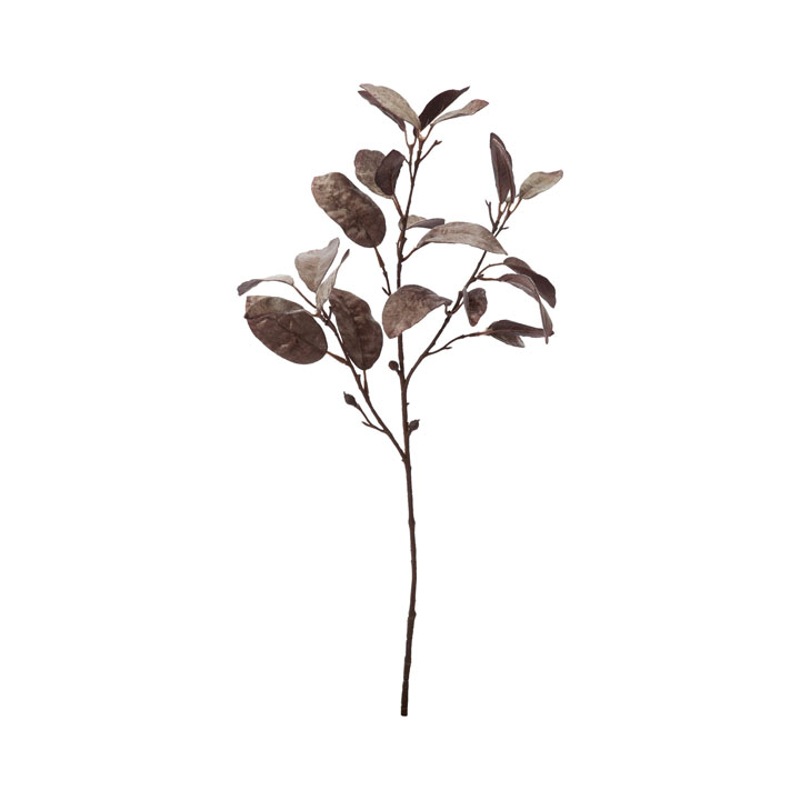 ベルベットリーフスプレー