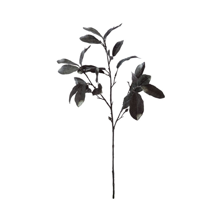 ベルベットリーフスプレー