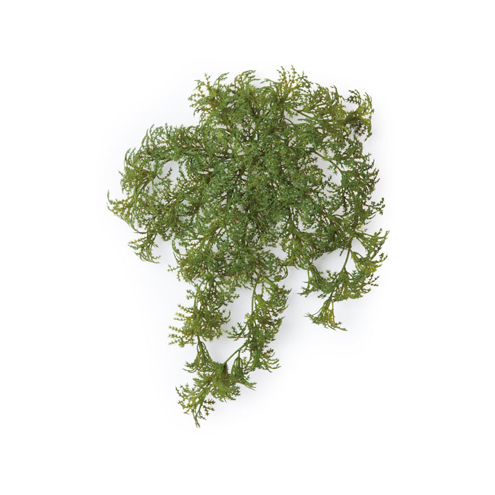 フィンランドモス