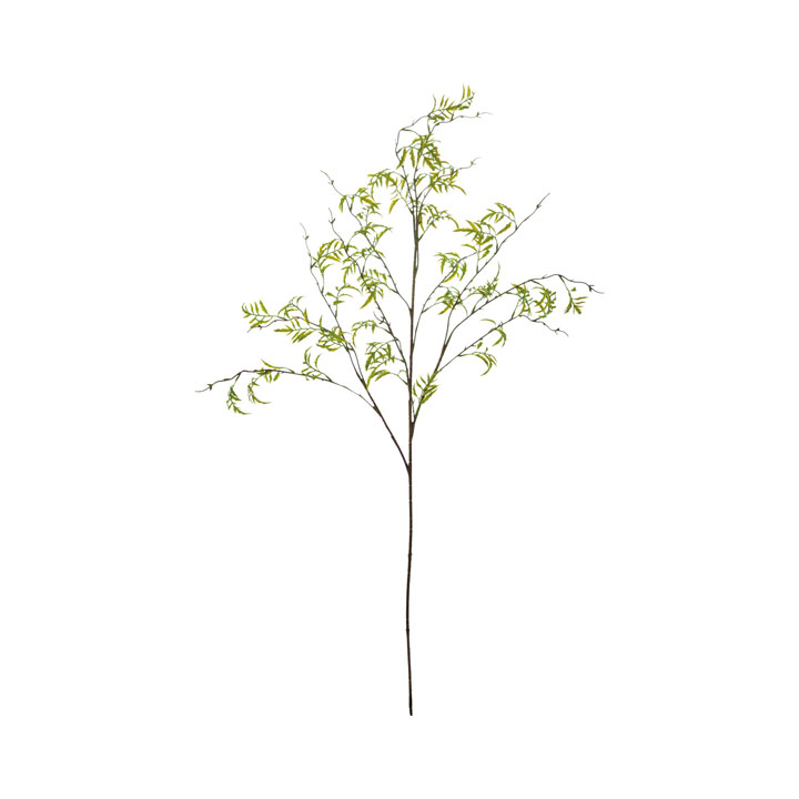 リーフブランチ