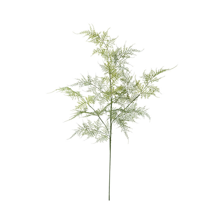 アスパラペラスプレー