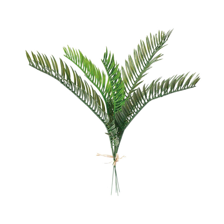 シダーバンドル