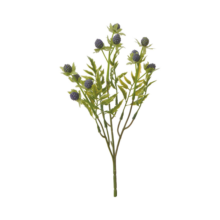 ラズベリーショート