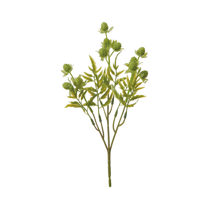 ラズベリーショート