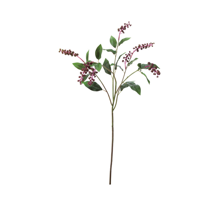 ヨウシュヤマゴボウ