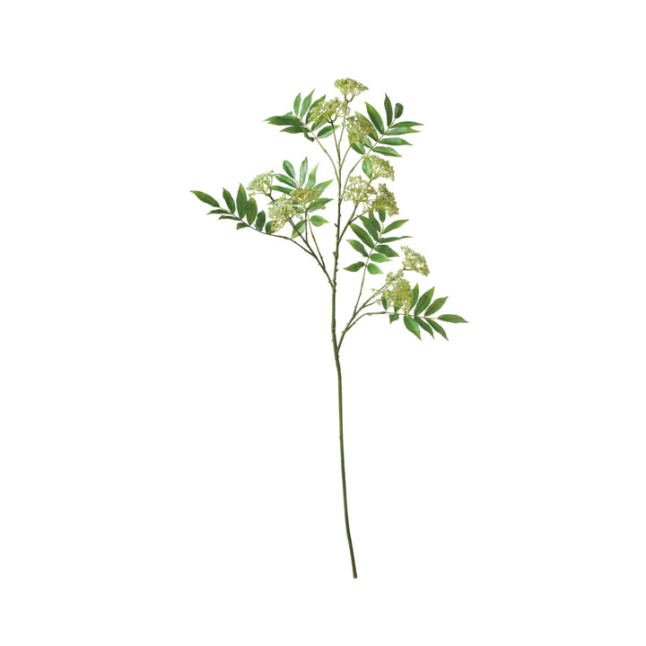 ナナカマドベリーブランチ