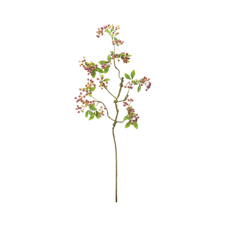 ベリーブランチ