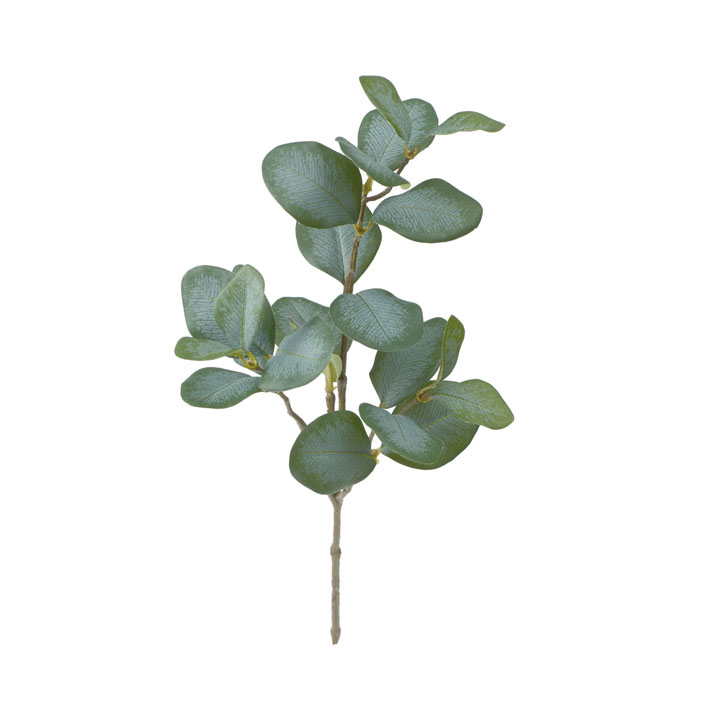 ポポラスピック