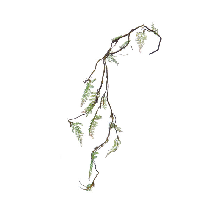 シダモスバイン