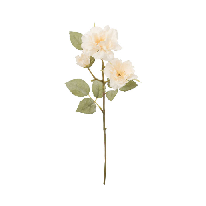 クレールガーデンローズ