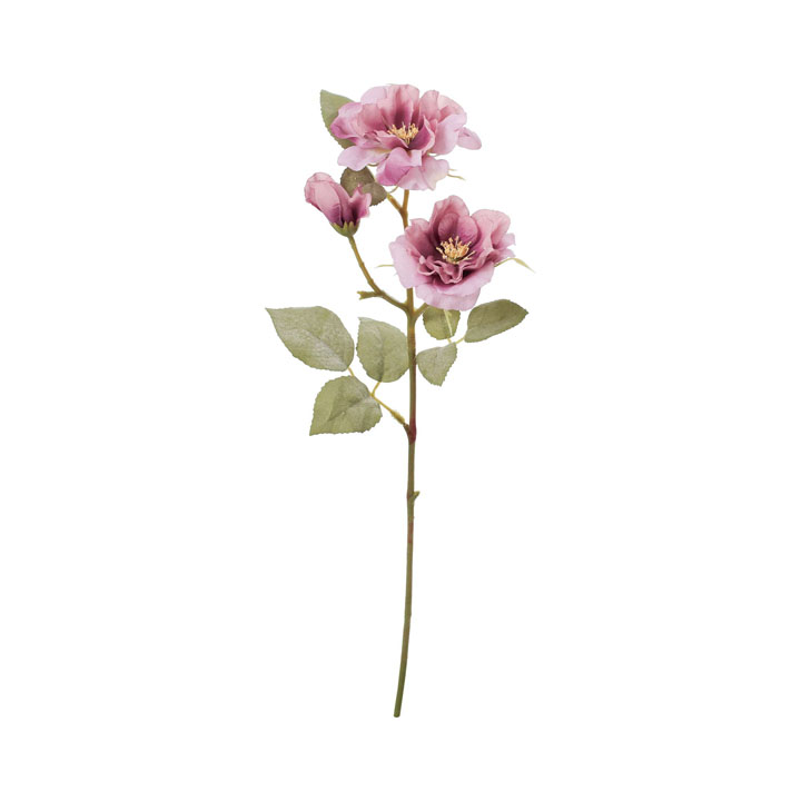 クレールガーデンローズ