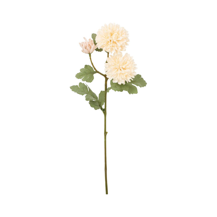 クレールボールマムスプレー