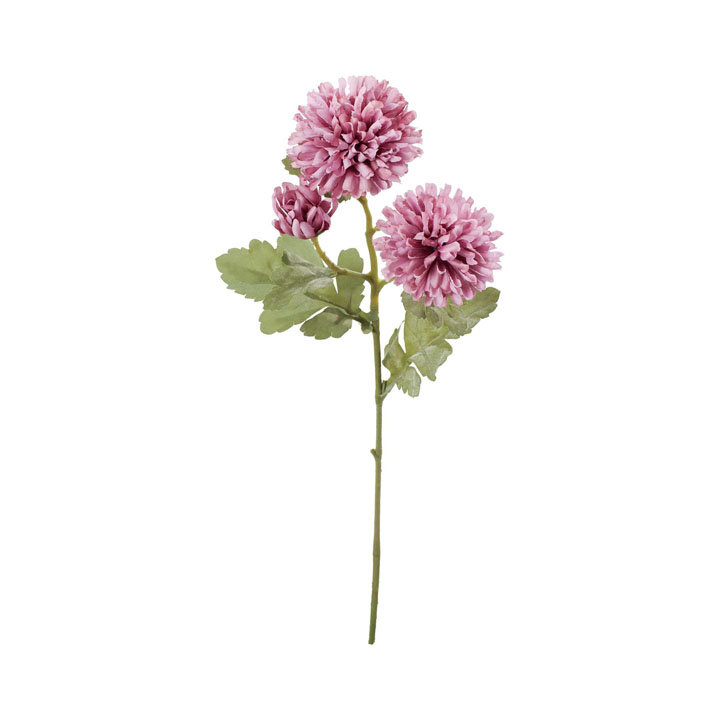 クレールボールマムスプレー