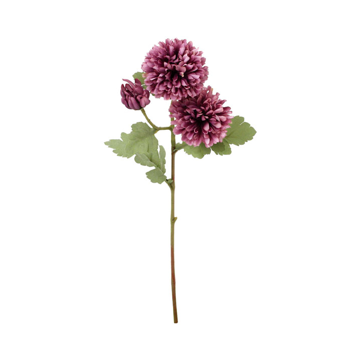 クレールボールマムスプレー