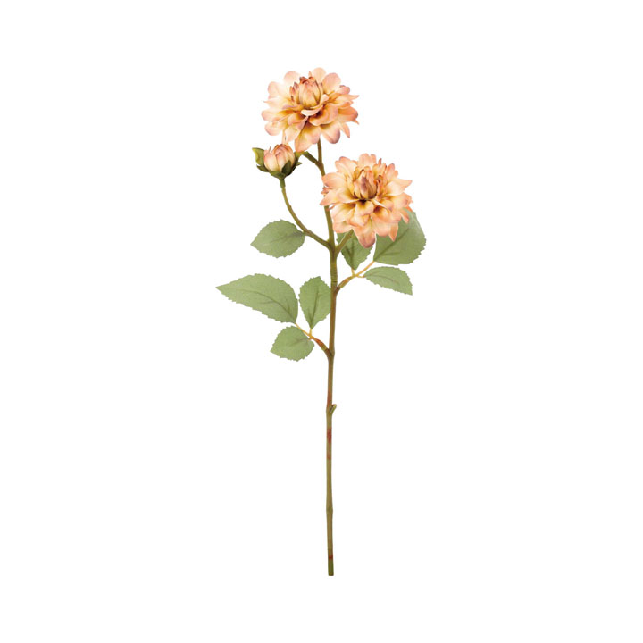 クレールダリアスプレー