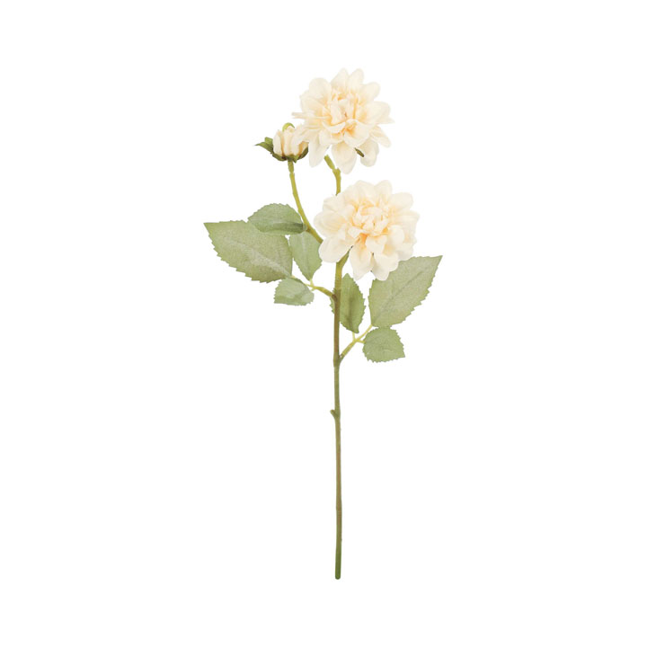 クレールダリアスプレー