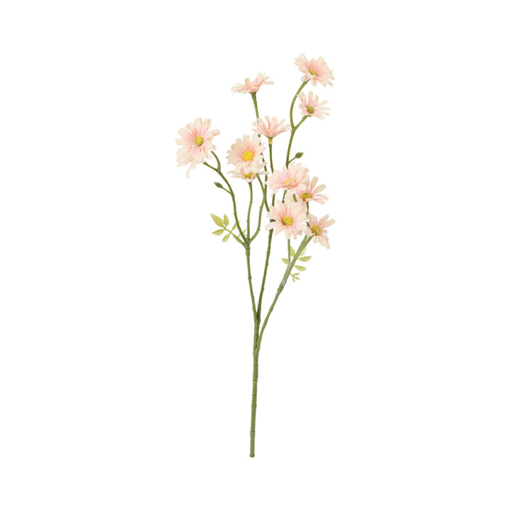 コンフォートデイジースプレー