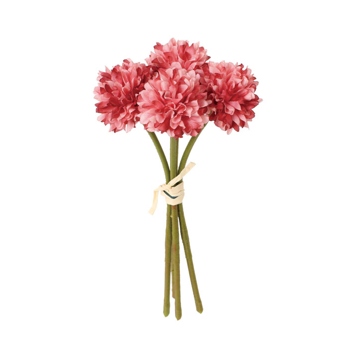 クレールポンポンマムバンドル