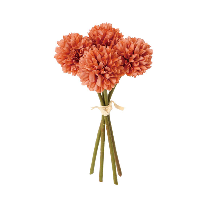 クレールポンポンマムバンドル