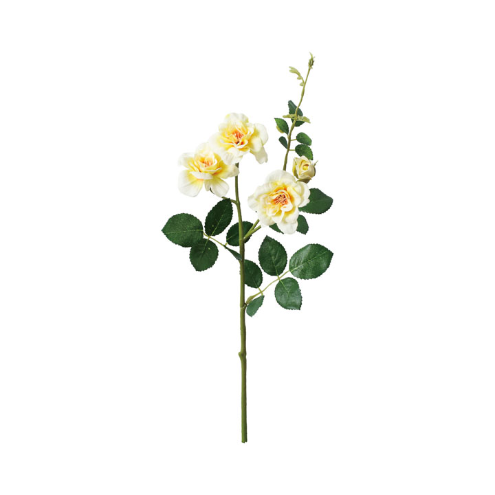 コンフォートガーデンローズスプレー