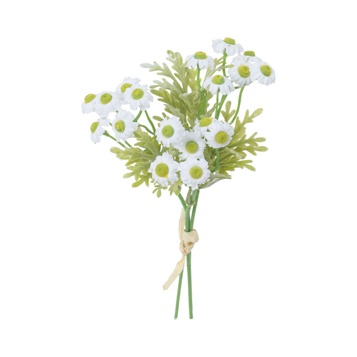 コンフォートマトリカリアバンドル