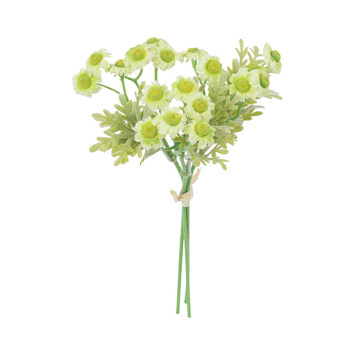 コンフォートマトリカリアバンドル