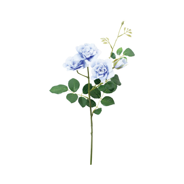 コンフォートガーデンローズスプレー