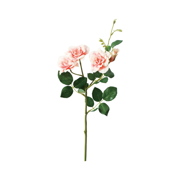 コンフォートガーデンローズスプレー