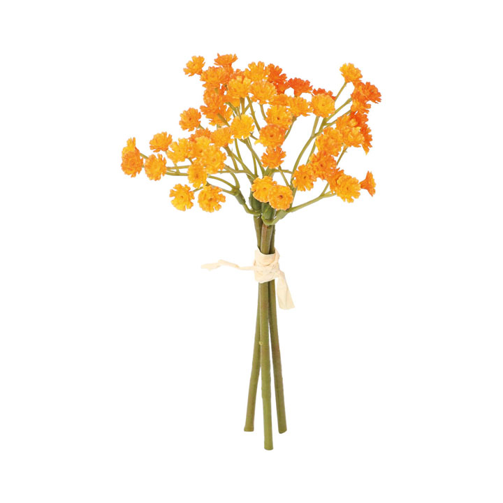 クレールカスミバンドル