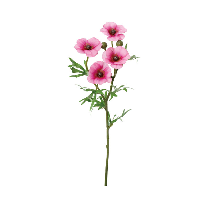 コンフォートリュクスラナンスプレー