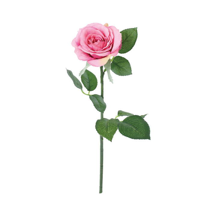 コンフォートシングルローズ