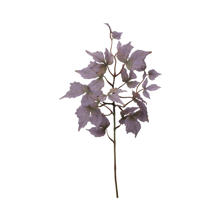 クレールリーフスプレー