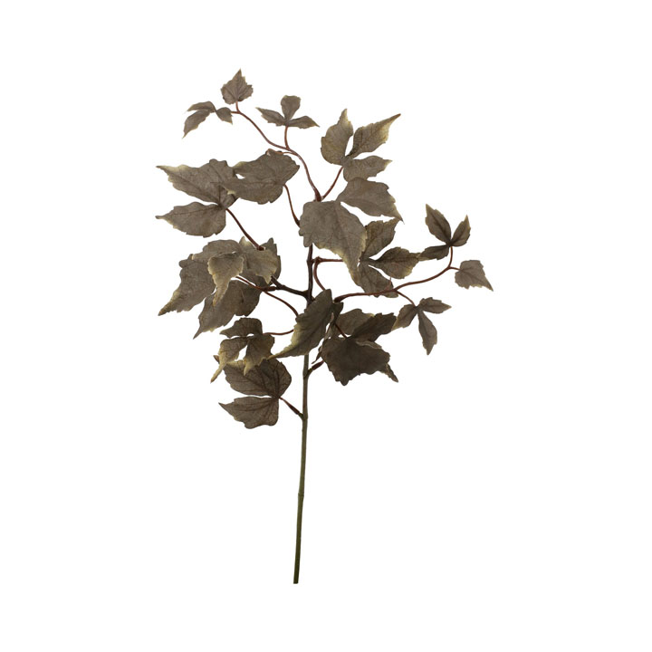 クレールリーフスプレー