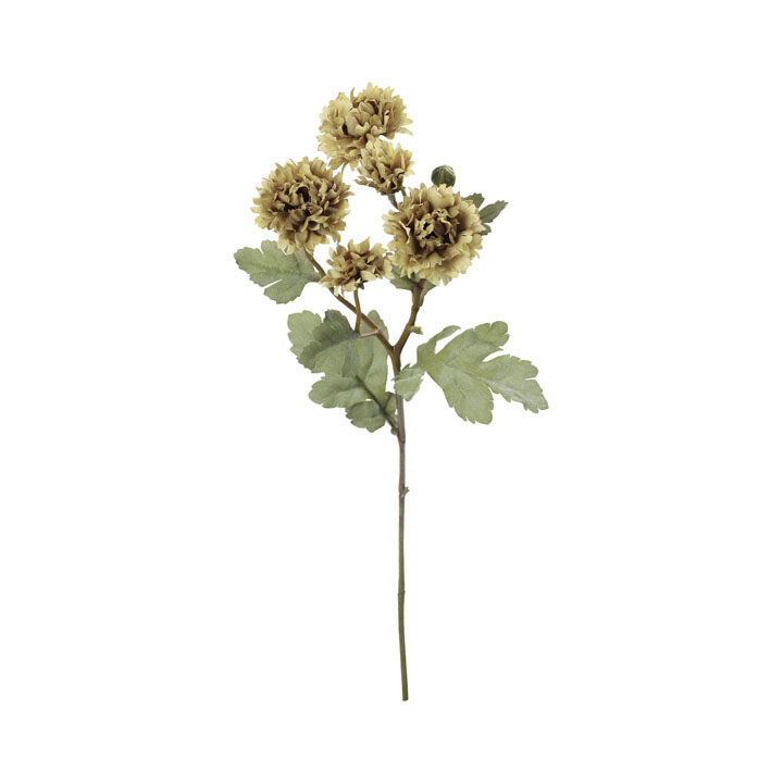 クレールジニアスプレー