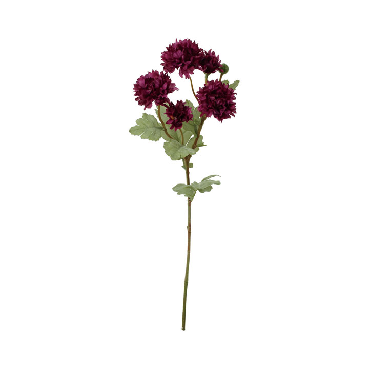 クレールジニアスプレー