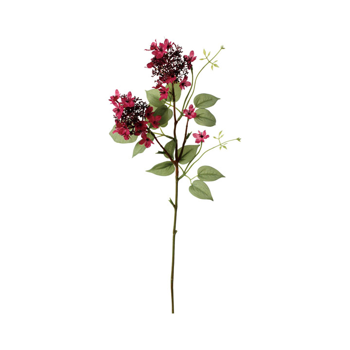 クレールブットレアスプレー