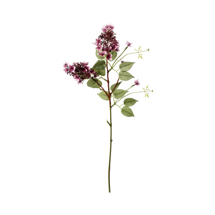 クレールブットレアスプレー