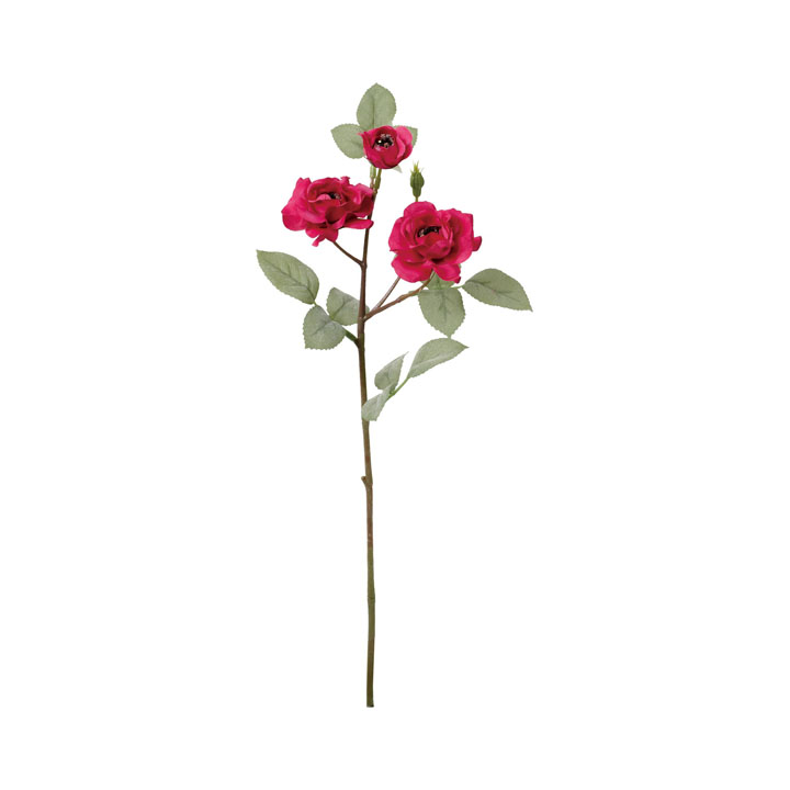 クレールローズスプレー