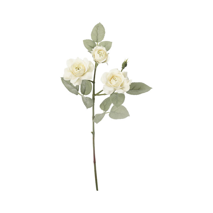 クレールローズスプレー