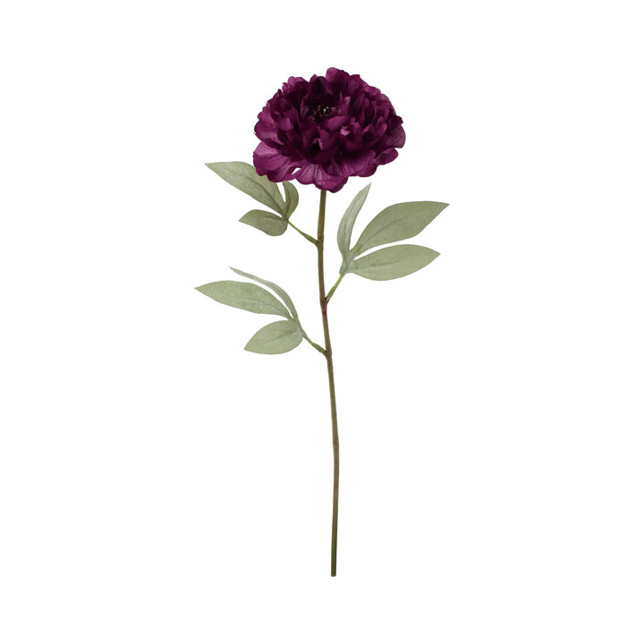 クレールピオニー