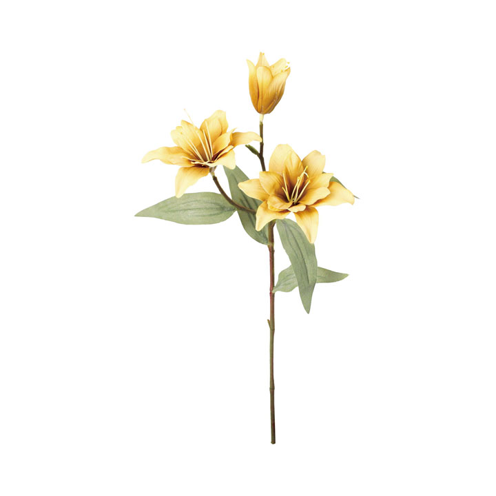 クレールダブルリリー